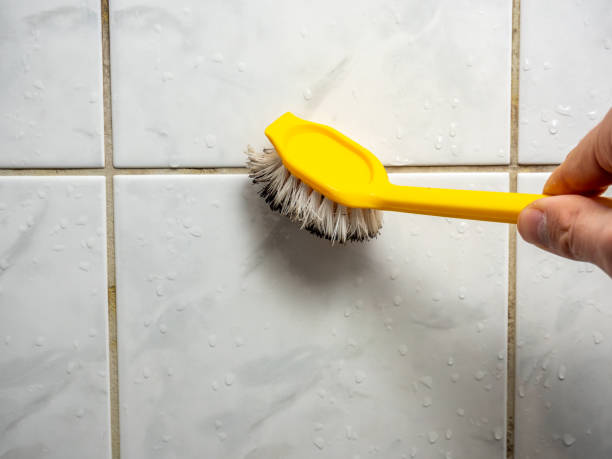 Mold Removal and Inspection in Pinetops, NC