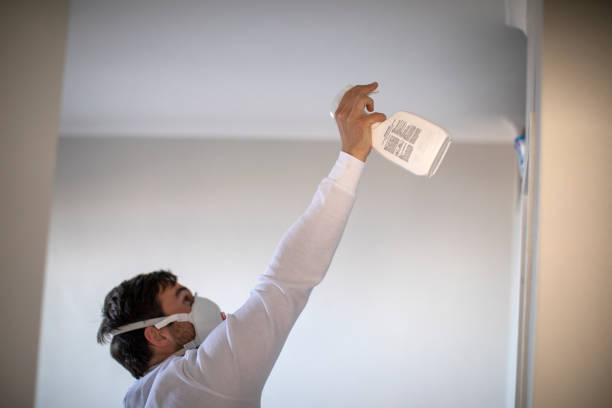 Best Commercial Mold Removal  in Pinetops, NC