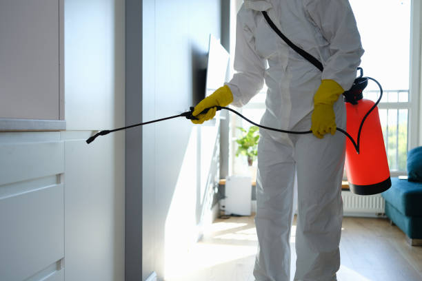 Best Emergency Mold Removal  in Pinetops, NC