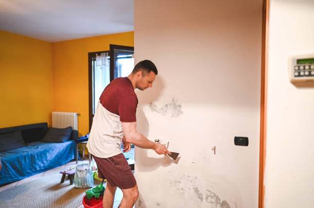 Best Commercial Mold Removal  in Pinetops, NC