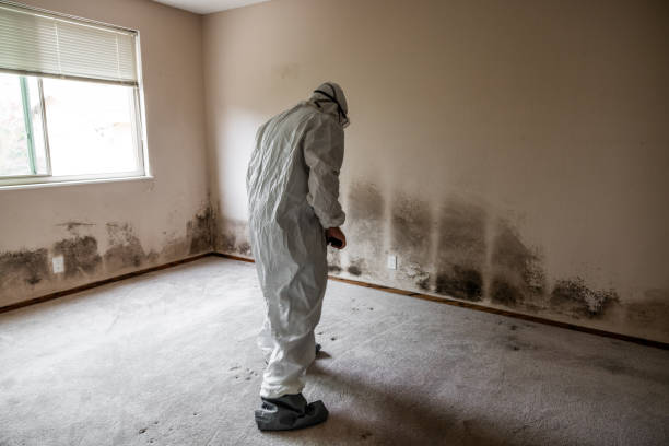 Best Toxic Mold Removal  in Pinetops, NC