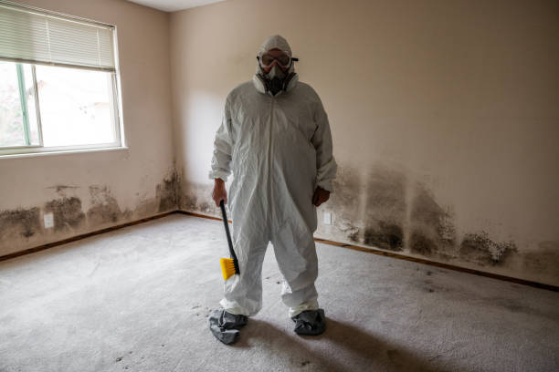 Best Mold Inspection  in Pinetops, NC