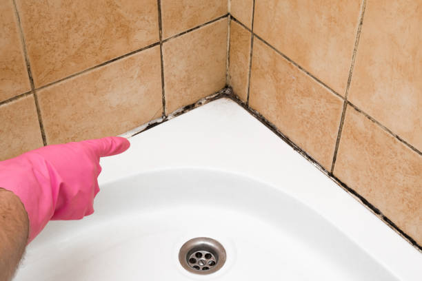 Best Residential Mold Removal  in Pinetops, NC